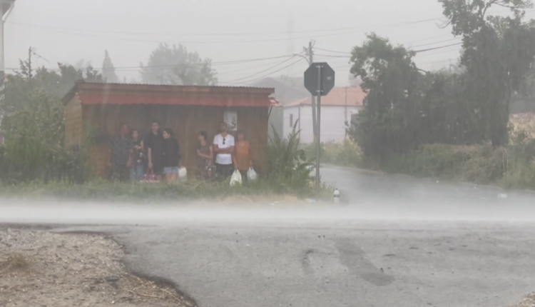 Stuhia e breshërit në Maliq, dëme të mëdha në vreshtari dhe perime