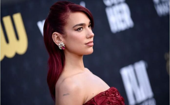 Dua Lipa tashmë edhe me një tjetër biznes të ri, do të nxjerr në treg akullore me emrin e saj