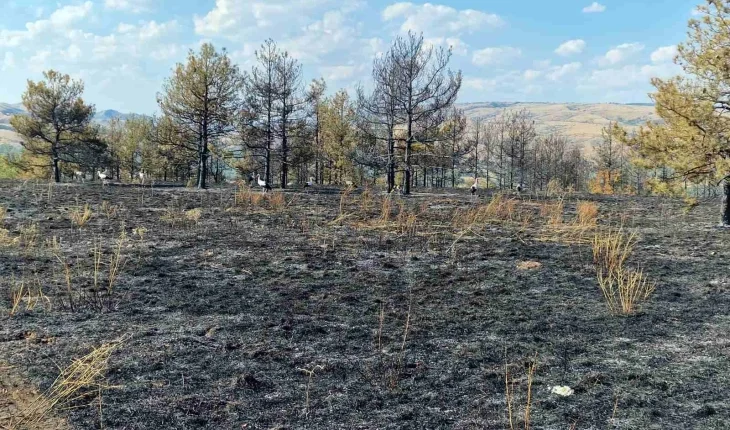 QMK: Gjithsej 41 zjarre në sipërfaqe të hapura dje, gjashtë janë aktive