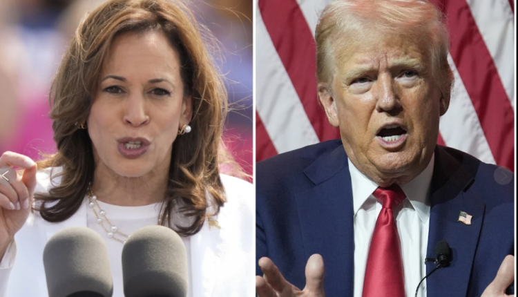 Një sondazh i ri tregon se Harris ka një avantazh prej shtatë për qind ndaj Trump