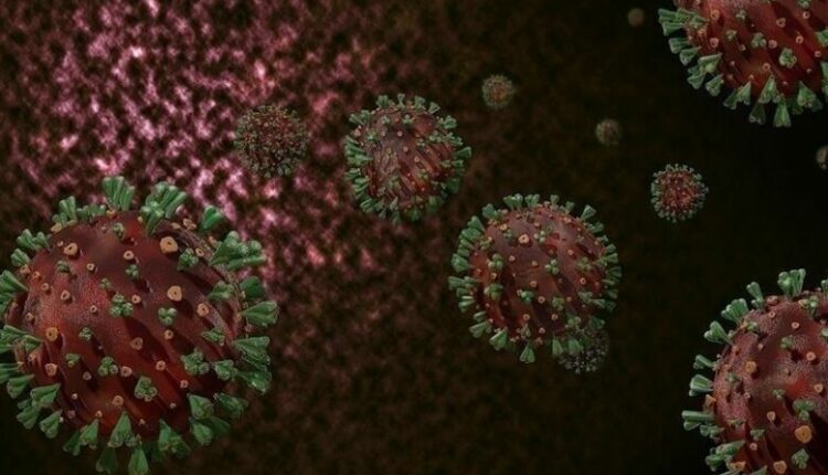 Filipine, rritet numri i rasteve me virusin “Mpox”