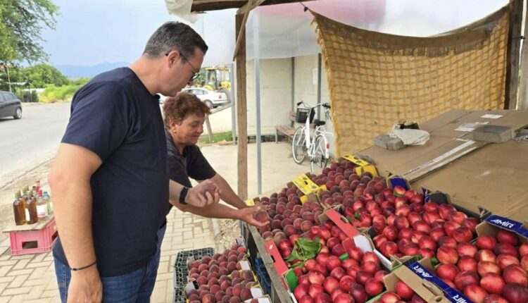 Tripunovski: Janë ndarë 493 milionë denarë për naftën “e gjelbër”, masa do të ndryshohet vitin e ardhshëm për t’u bërë më efektive