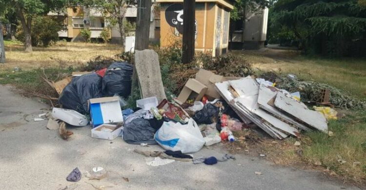 NP Higjiena Komunale vazhdon aksionin për largimin e deponive të egra