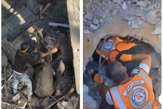 Mbijetoi pesë ditë nën rrënoja, momenti i shpëtimit të gruas palestineze (VIDEO)
