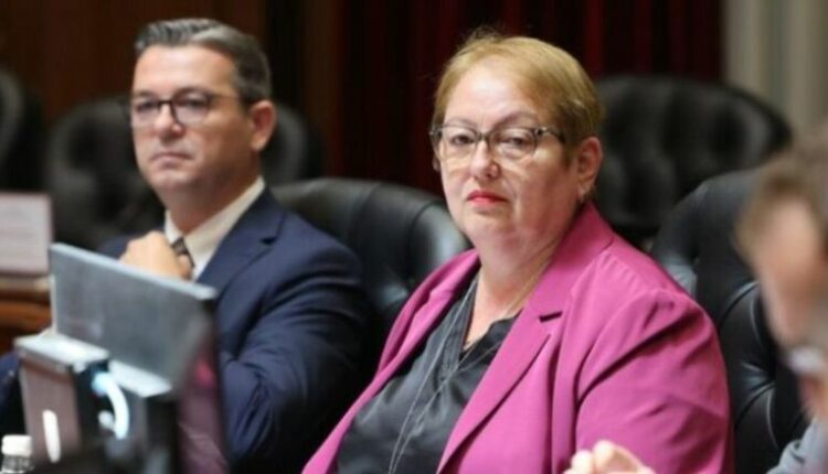 Janevska: Deri në fund të mandatit do të mundësojmë kushte për mësim në një ndërrim