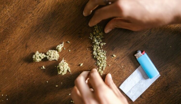U sekuestruan 51 kilogramë marijuanë në RMV, filloi hetimi