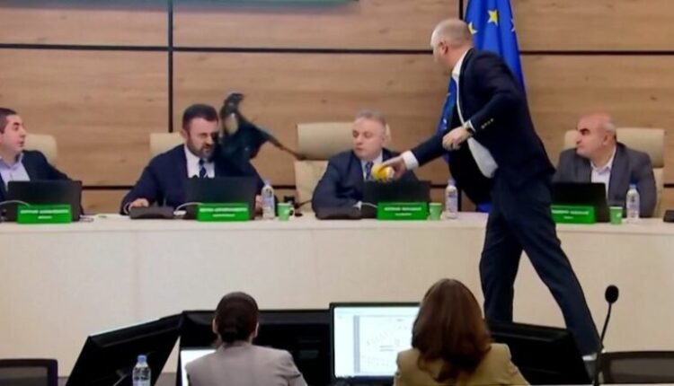 Momenti kur kreut të Komisionit Qendror Zgjedhor i hidhet në fytyrë ngjyrë të zezë (VIDEO)