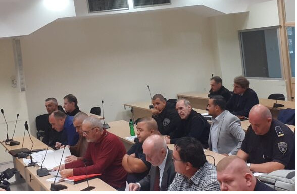 Babai i Vanjës më tha t’i dërgoj një mesazh Elon Musk-ut për të gjetur Vanjën përmes satelitit, dëshmoi kushërira e nënës Zorica