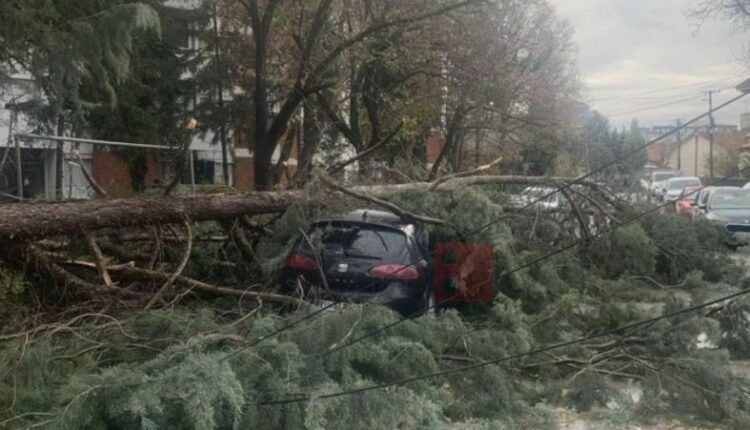 Era e fortë ka shkulur pemë, degë dhe një shtyllë në Kumanovë