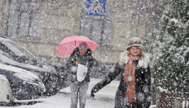 Kosova mbulohet nga bora