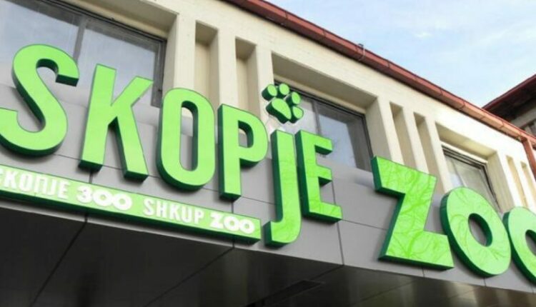 Sot rihapet Kopshti Zoologjik i Shkupit