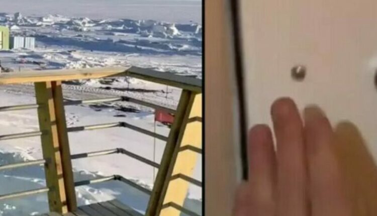TikToker-i sjell pamje interesante – ja si duket gjatë orëve të mbrëmjes Antarktida (VIDEO)