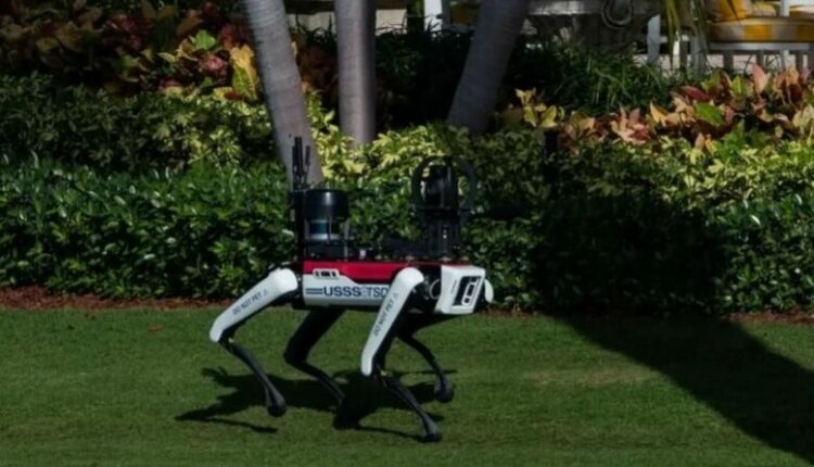 Siguria në maksimum, qentë robotë ruajnë Trump