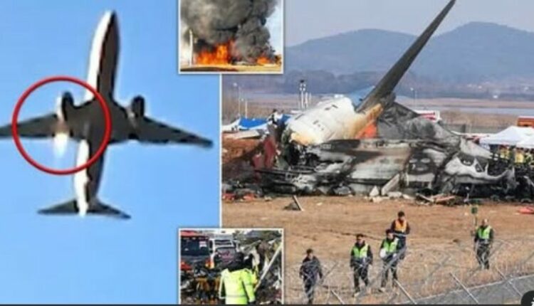 Autoritetet koreano-jugore gjejnë kutinë e zezë të aeroplanit të rrëzuar