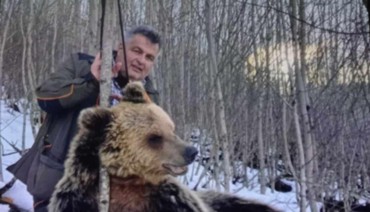 Zëvendësdrejtori i “Rrugët e Maqedonisë”, Sasho Drango, vret një ari dhe pozon me të, organizata “Anima Mundi” kërkon shkarkimin e tij