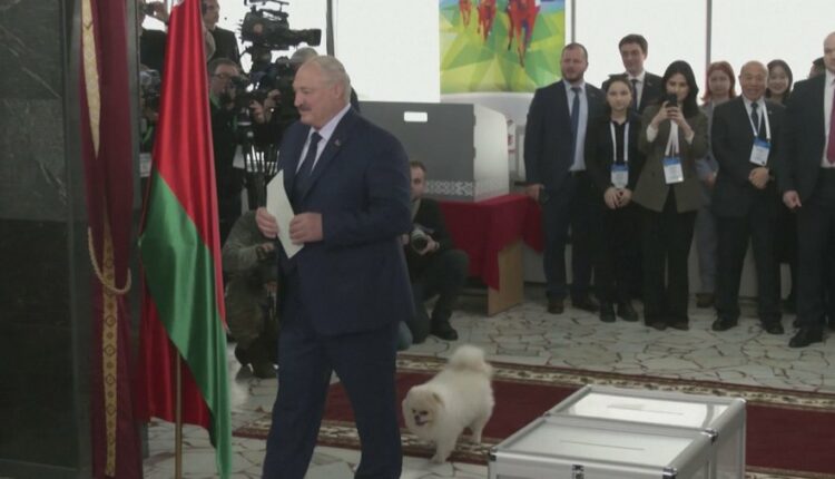 “Ankth” për rezultatin, zgjedhjet në Bjellorusi, Lukashenko voton me qenin