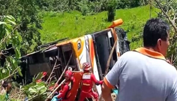 Tragjike/ Autobusi del nga rruga dhe bie në greminë, 31 persona humbin jetën (FOTO)