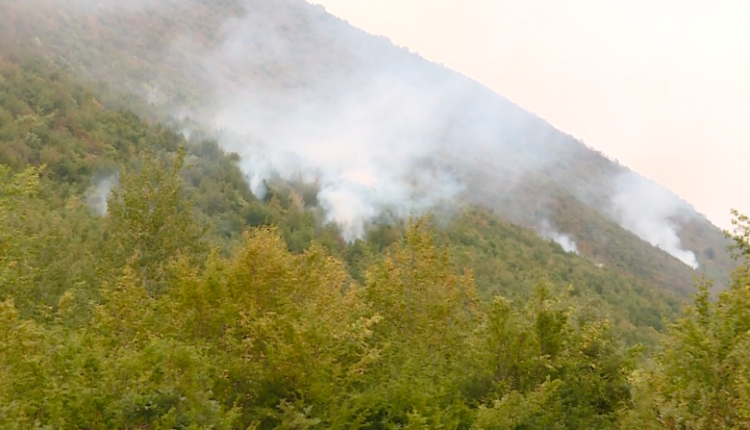 60 zjarre gjatë fundjavës në Maqedoninë e Veriut