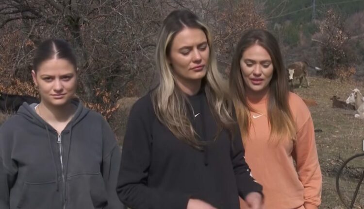 Tre motrat nga fshati Zhidilovë e Kriva Pallankës do mbeten pa 493 lopë, shkak revanshizmi politik? (VIDEO)
