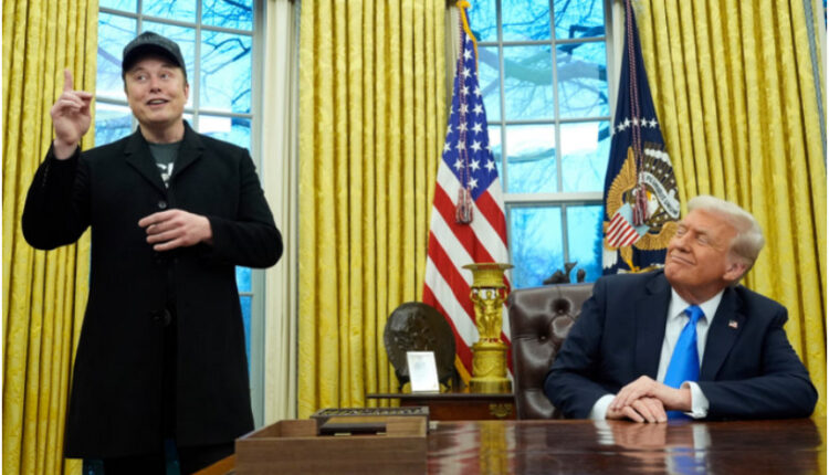 Elon Musk do ta zvogëlojë rolin e tij në qeverinë e Trump pas rënies së madhe të fitimeve të Tesla-s