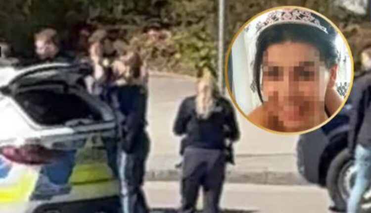 Gjermani, burri nga Kosova plagosi gruan para djalit të tyre 7-vjeçar