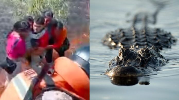Aeroplani i tyre u rrëzua në mes të një moçali në Amazonë plot me aligatorë dhe anakonda – ata mbijetuan për 36 orë (VIDEO)