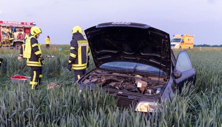 Audia përfundon në fushën me misër, policia e gjenë shoferin duke fjetur