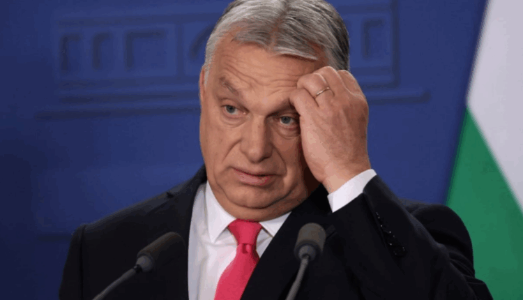 Orban-Zelensky-t: Nuk ka hyrje të Ukrainës në BE pa Hungarinë, ju pëlqen apo jo