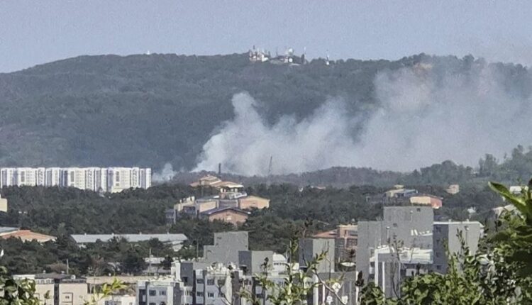 Aeroplani patrullues i marinës së Koresë së Jugut rrëzohet në jug të vendit
