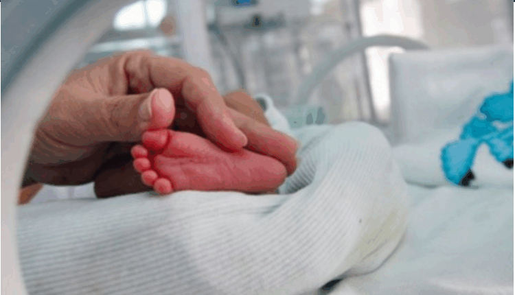 Ngrihet alarmi nga ekspertët për rënien e fertilitetit në mbarë botën