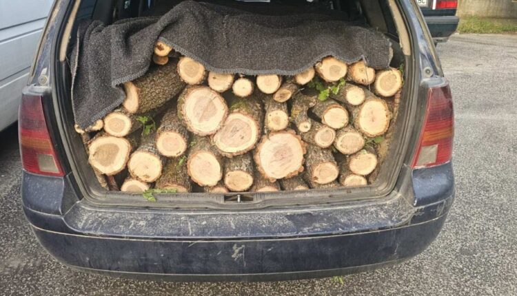 Dyshohet se transportonin dru pa dokumentacion përkatës, arrestohen dy banorë të Bllacës
