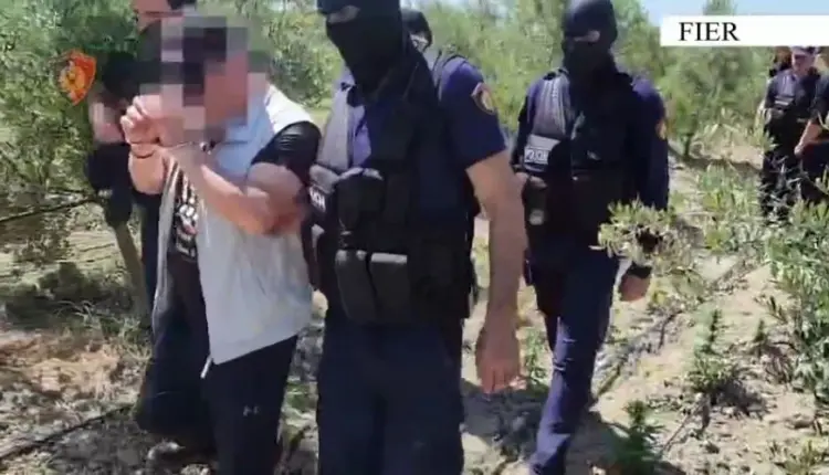 Trafikim armësh dhe droge! Goditet grupi kriminal në Fier, arrestohen 4 persona me rrezikshmëri të lartë