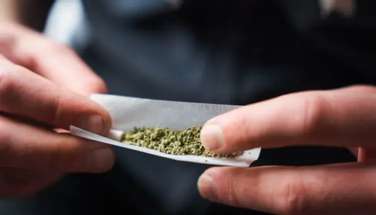 Përdorimi i marijuanës rrit ndjeshëm rrezikun për vdekje nga infarkti dhe goditja në tru