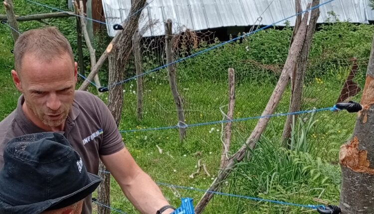 Ministria e Mjedisit instaloi gardhe elektrike për të mbrojtur blegtorët dhe bletarët në Malin e Sharrit