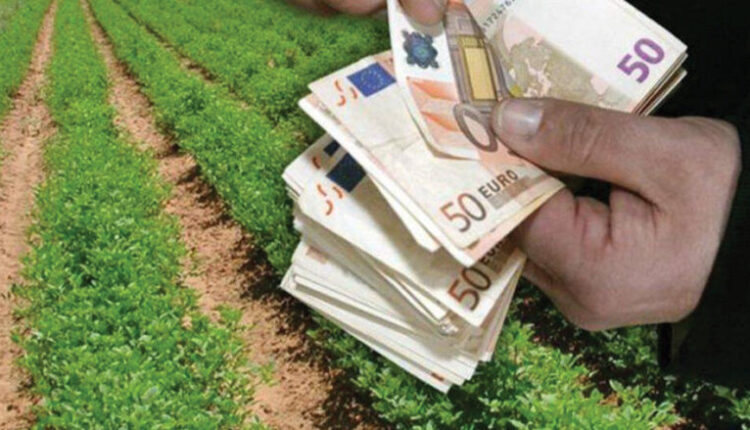 Ministria e Bujqësisë: Janë paguar mbi 340 milionë denarë subvencione për lopë