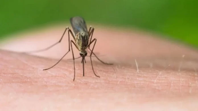 Italia në alarm! Virusi i “Nilit Perëndimor” i merr jetën tre të moshuarve, 16 raste të reja në qarkun e Romës