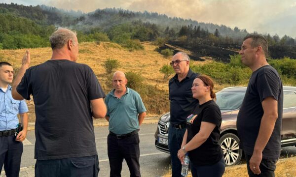 Totaj viziton fshatin Lubizhdë pas zjarrit masiv, situata vihet nën kontroll derisa shiu ndihmon zjarrfikësit