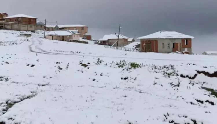Borë “mes” zjarreve, dy qytete në Turqi ‘zbardhen’ në fillim të korrikut