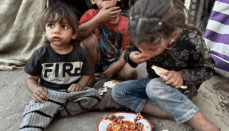 Fëmijët në Gaza po vriten gjatë pritjes për ujë, situata humanitare në nivel kritik
