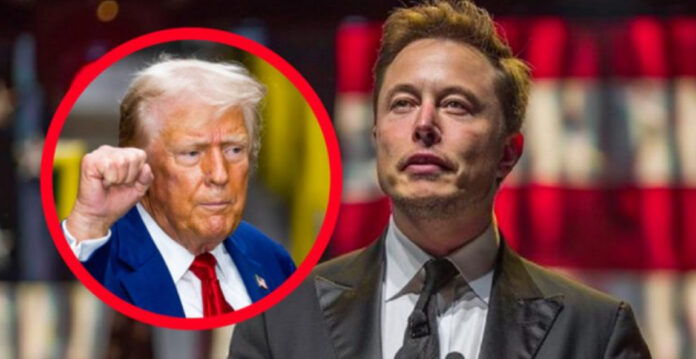 Trump po shqyrton mundësinë për të deportuar Elon Musk nga SHBA