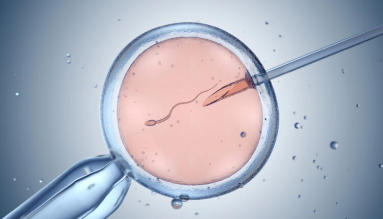 Me shpenzime shtetërore do të realizohen 6 tentativa për fertilizim in vitro, kërkesat do të miratohen për 2 javë në vend të 3 muajve