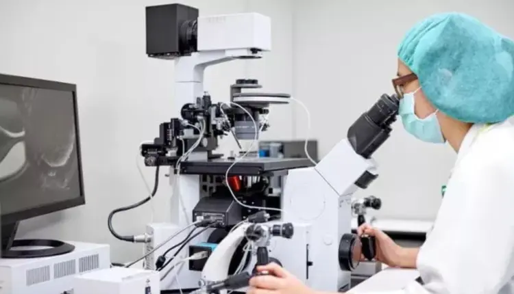 Shtatzënë pas 18 vitesh falë… inteligjencës Artificiale