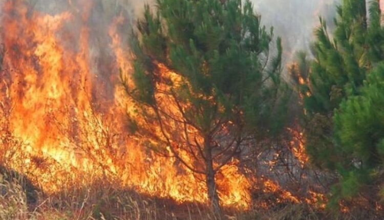 Zjarri në Shkopet vijon të djegë pyjet, flakët zhvendosen mbi digën e HEC-it dhe banesave
