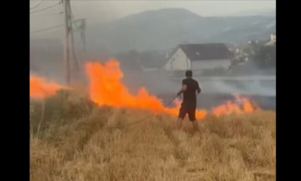 Shpërthen zjarri në Vaganicë të Mitrovicës, shumë afër shtëpive – banorët tentojnë ta shuajnë me zorra uji
