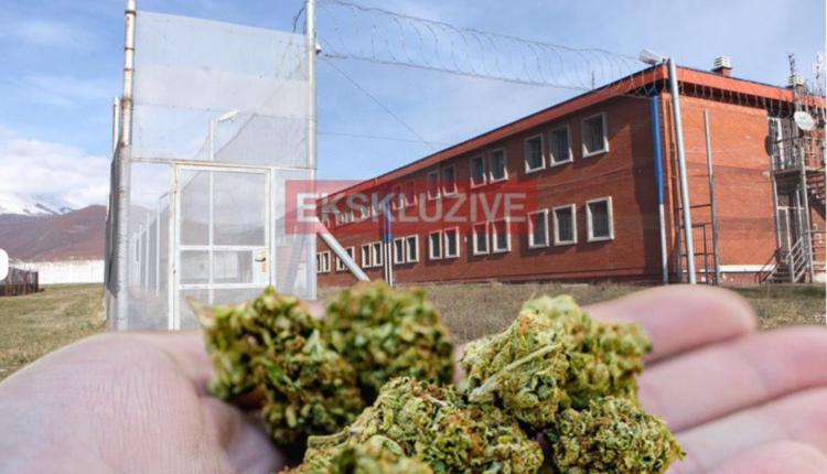 Ekskluzive: Kapet drogë në burgun e Dubravës – Gati 100 gramë marihuanë në ventilim të tualetit, askush s’merret në përgjegjësi