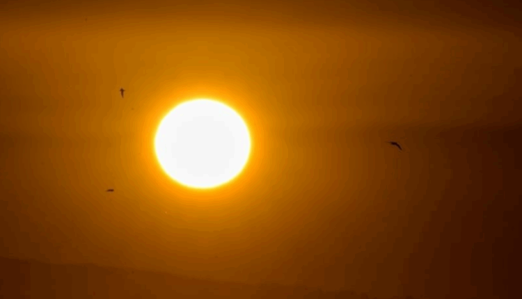 Alarm i kuq, temperatura deri në 43 gradë