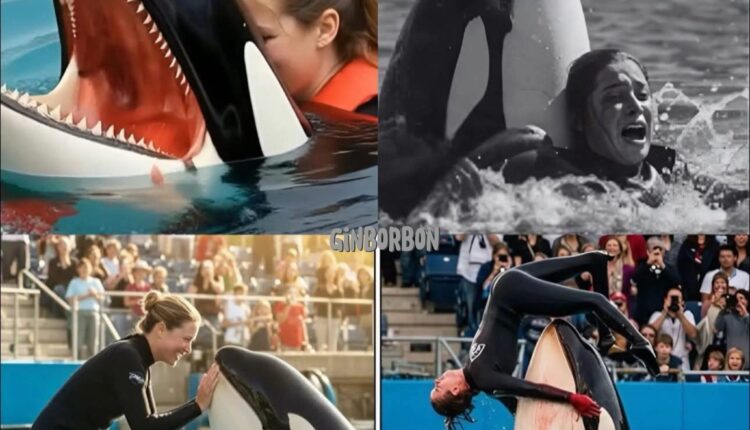 Një Vajzë e re, një Orca dhe një tragjedi e fshehur