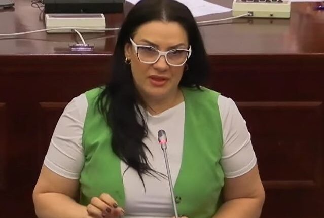 Rami Mislimi: Deputetja e VLEN-it ishte kundër mediave shqiptare, por mbeti me gishtat në gojë