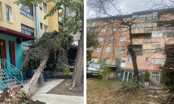Stuhia që kaploi Prishtinën, reagon Komuna – Njofton për rrëzimin e disa drunjëve e për disa zjarre fushore