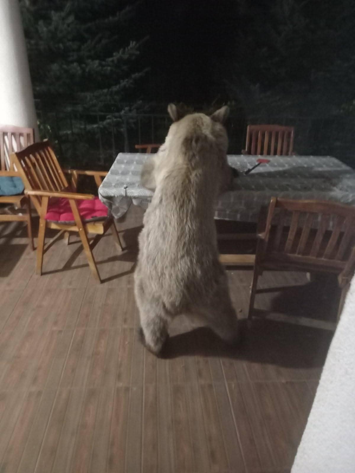 Ariu vjen në një vikendshtëpizë afër Xhepçishtit